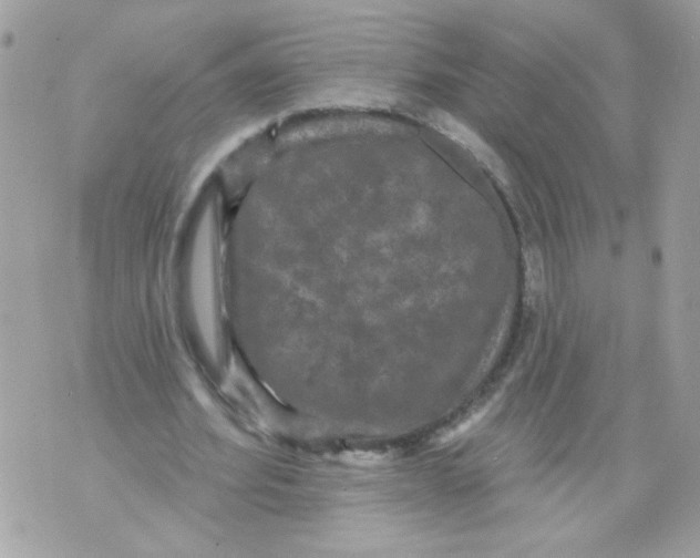 X0000070400580200607072246