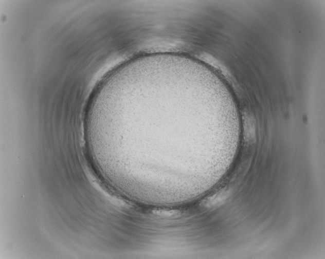 X0000070400582200607072246