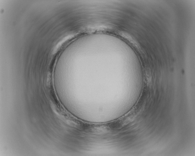 X0000070400583200607072246