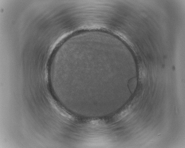 X0000070400584200607072246