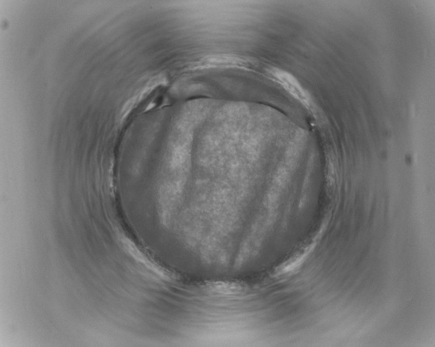 X0000070400585200607072246