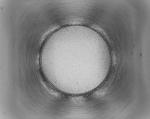 X0000070400586200607072246