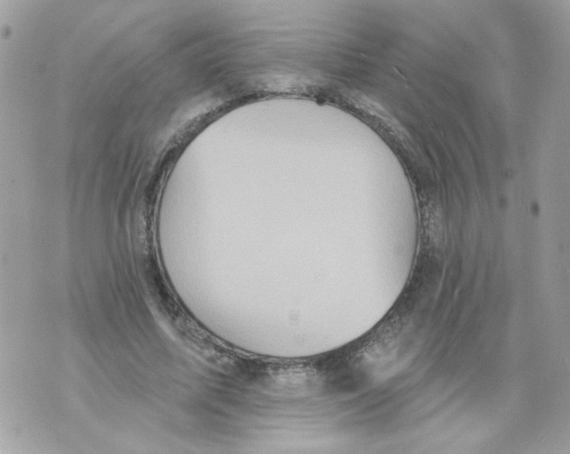 X0000070400587200607072246