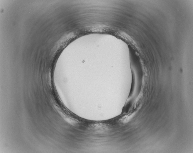 X0000070400589200607072246