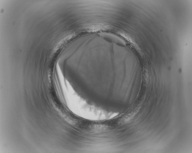 X0000070400590200607072246