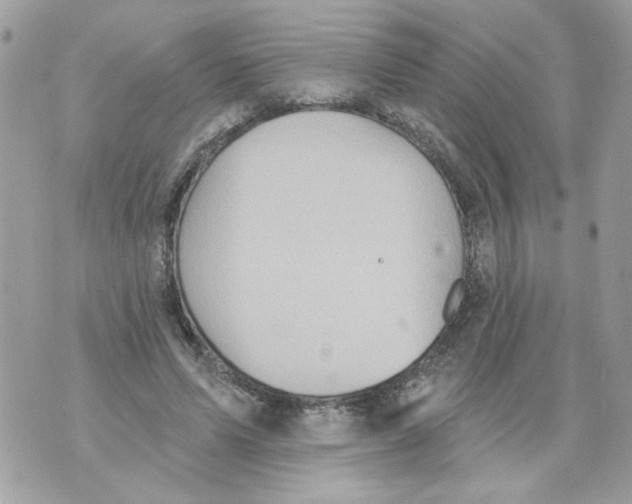 X0000070400591200607072246