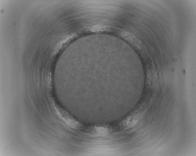 X0000070400592200607072246