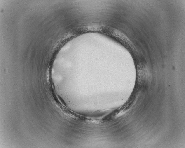 X0000070400593200607072246