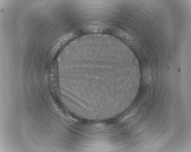 X0000070400594200607072246