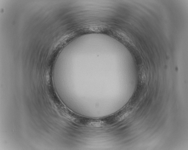 X0000070400595200607072246