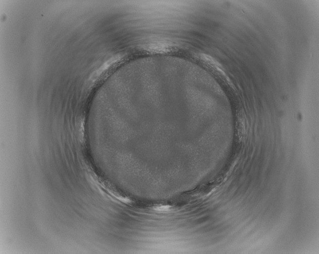 X0000070400596200607072246