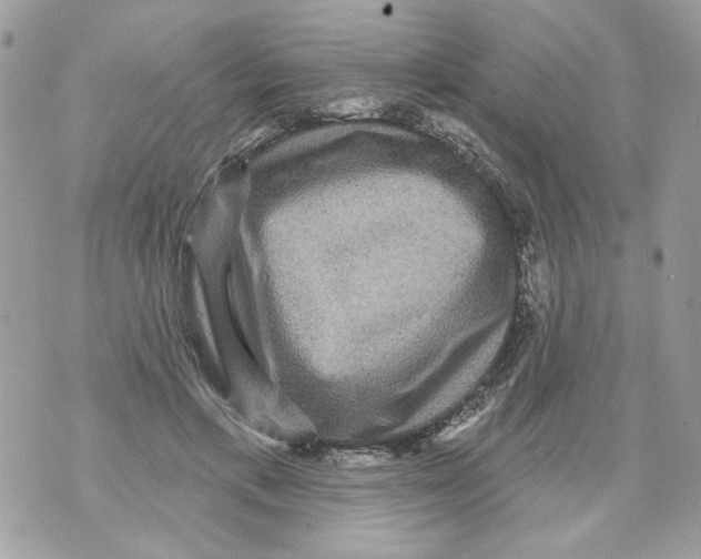 X0000070400597200607072246