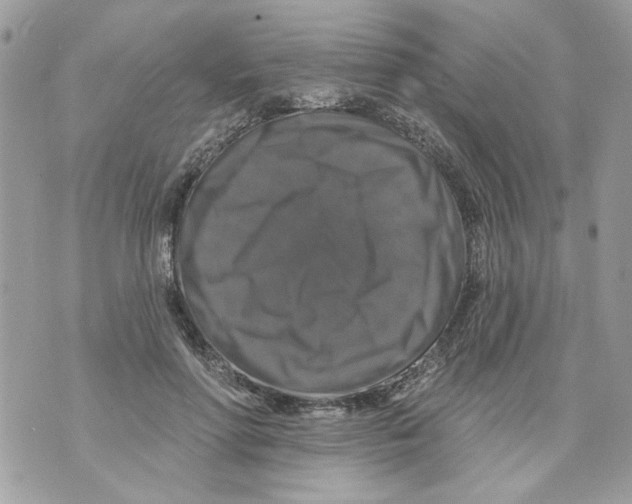 X0000070400598200607072246