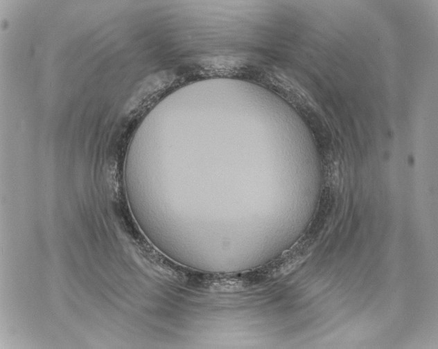 X0000070400599200607072246