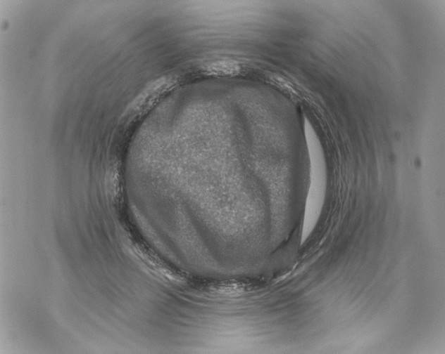 X0000070400600200607072246