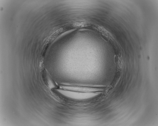 X0000070400601200607072246