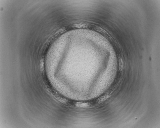 X0000070400602200607072246