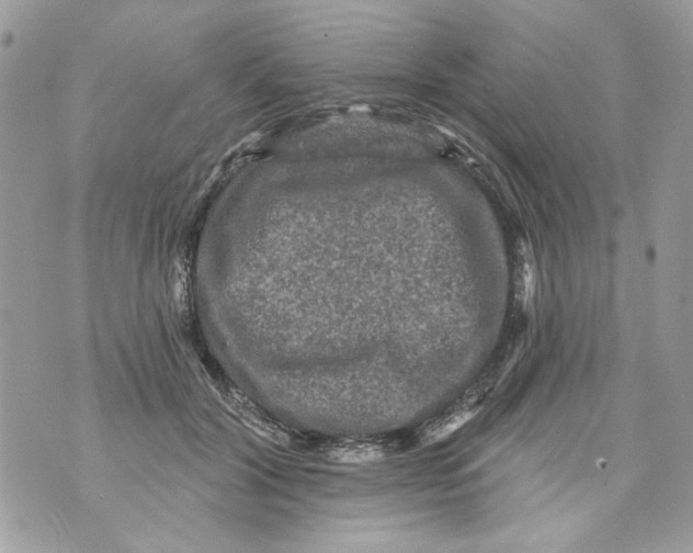 X0000070400604200607072246