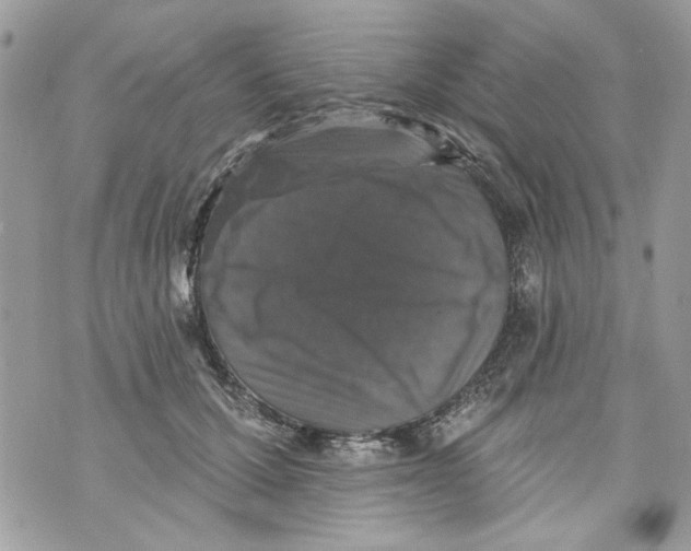 X0000070400607200607072246