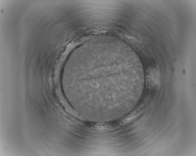 X0000070400608200607072246