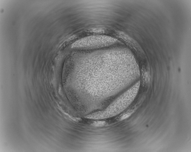 X0000070400609200607072246