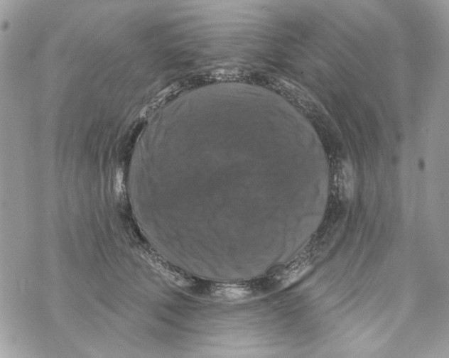 X0000070400610200607072246