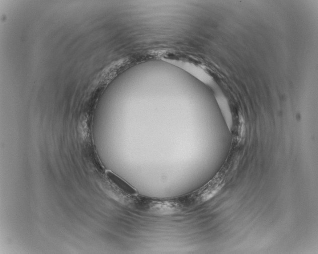 X0000070400611200607072246