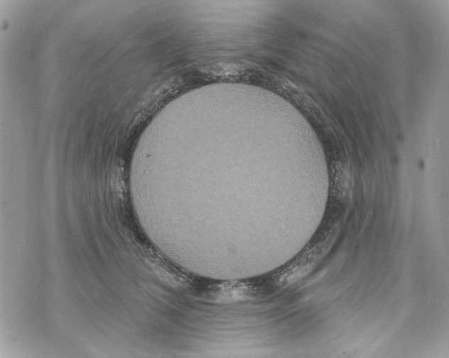 X0000070400612200607072246