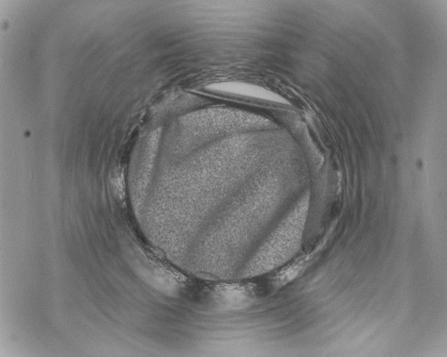 X0000070400613200607072246