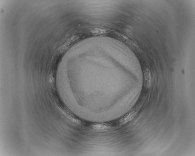 X0000070400614200607072246