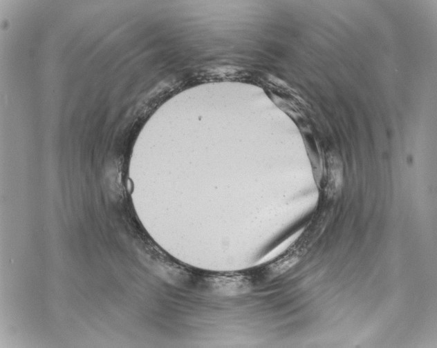 X0000070400615200607072246