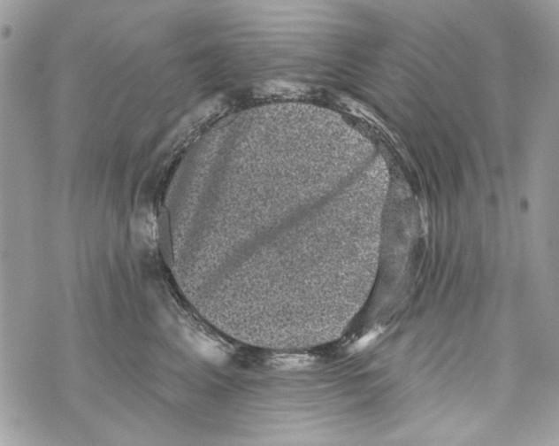 X0000070400617200607072246