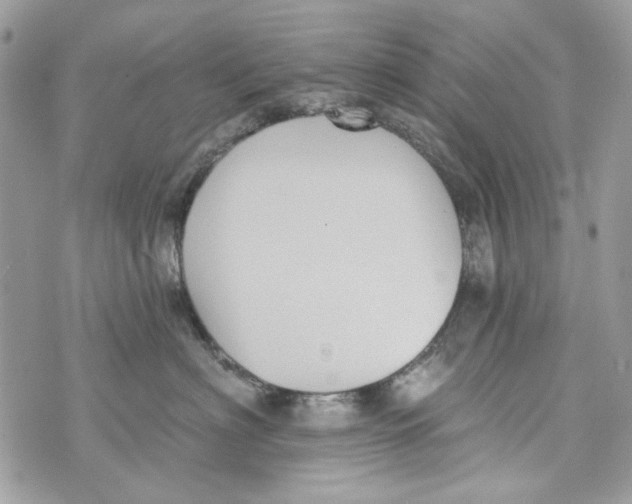 X0000070400622200607072246