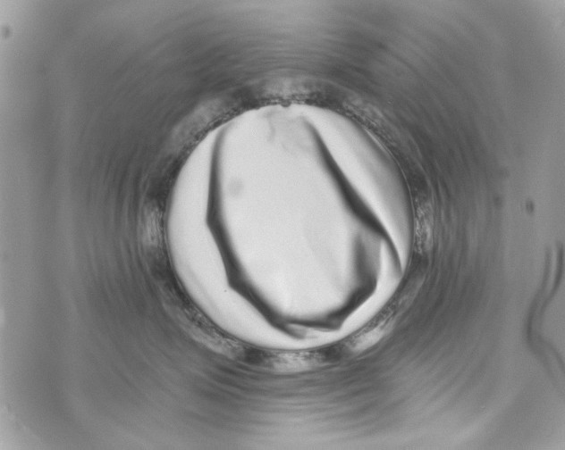 X0000070400623200607072245