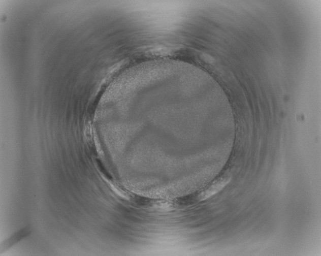 X0000070400624200607072245