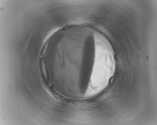 X0000070400626200607072245