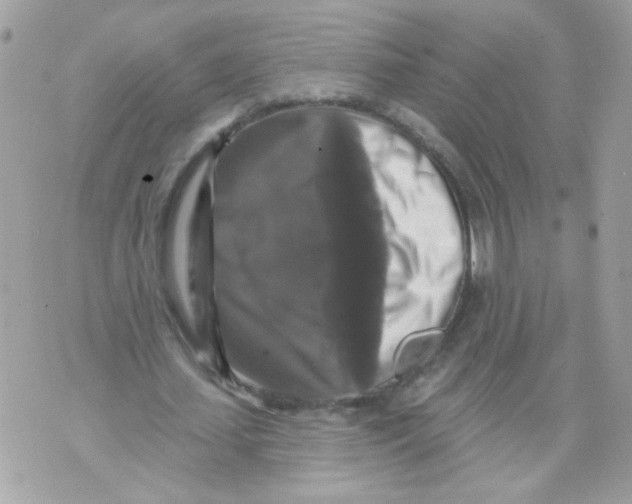 X0000070400627200607072245