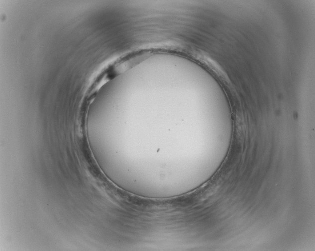 X0000070400628200607072245