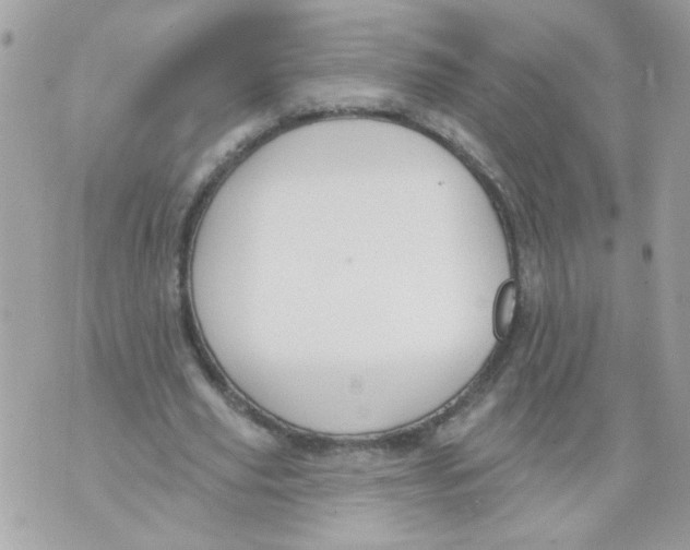 X0000070400629200607072245