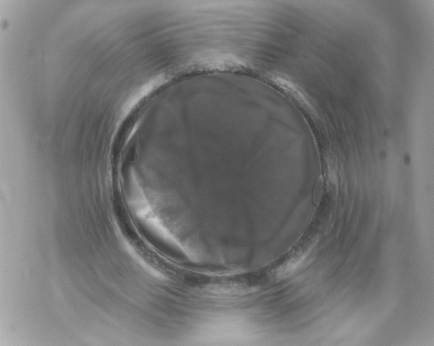 X0000070400630200607072245