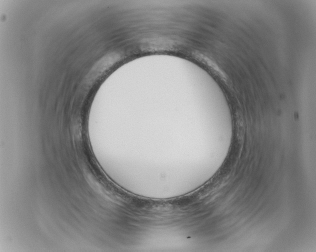 X0000070400631200607072245