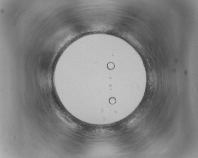 X0000070400632200607072245