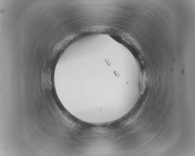 X0000070400633200607072245