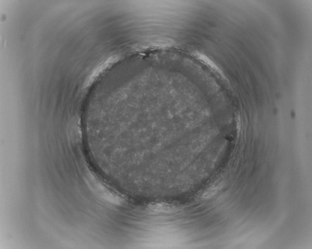 X0000070400634200607072245