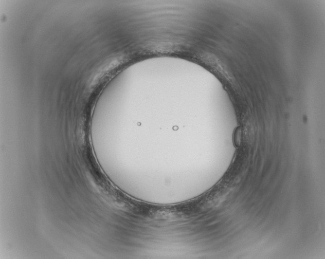 X0000070400635200607072245