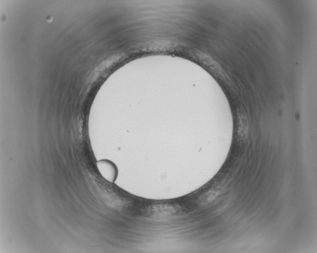 X0000070400636200607072245