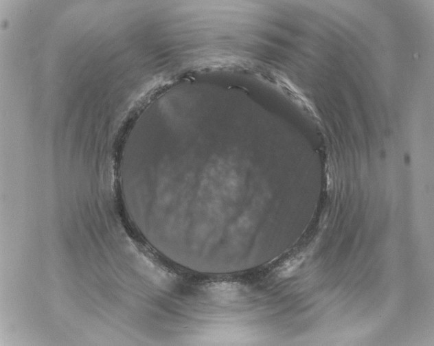 X0000070400637200607072245