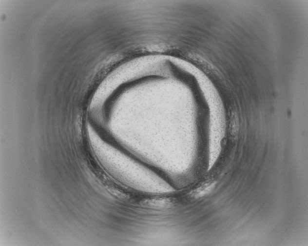 X0000070400639200607072245