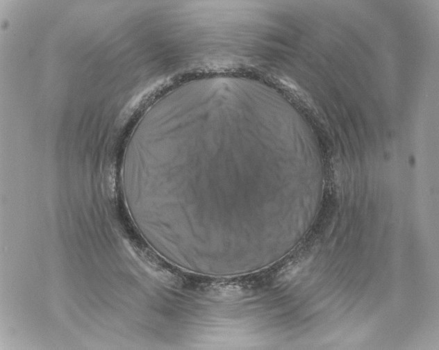 X0000070400640200607072245