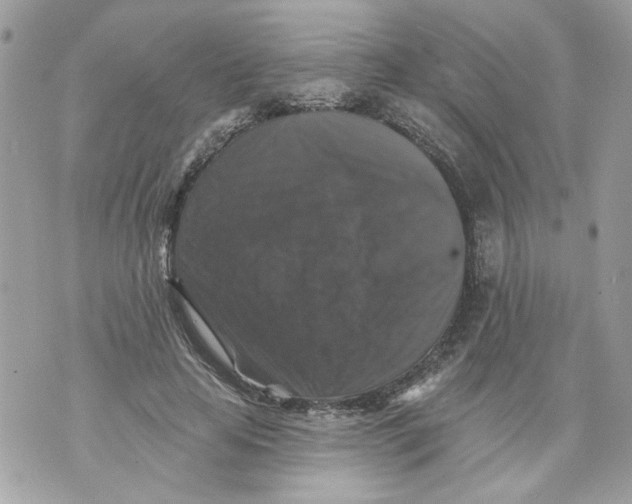 X0000070400641200607072245